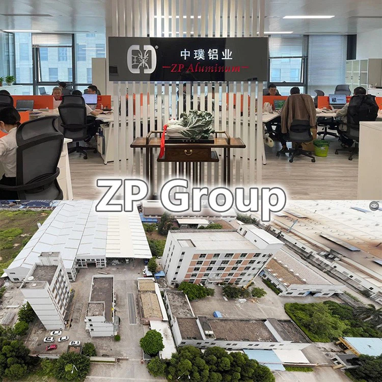 ZP group ZP group